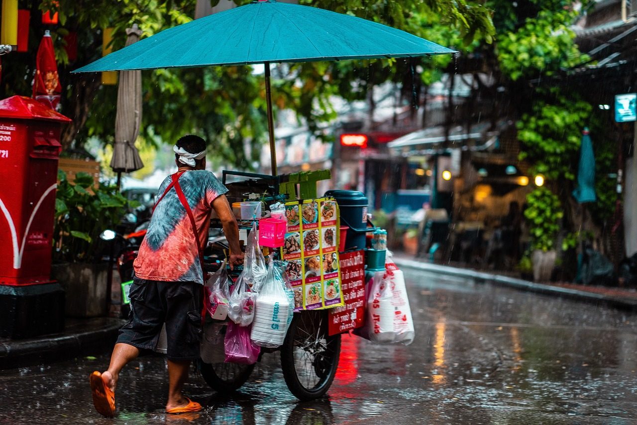 man  cart  street food  culture  rain  umbrella  nature  puddle  weather  wet  city