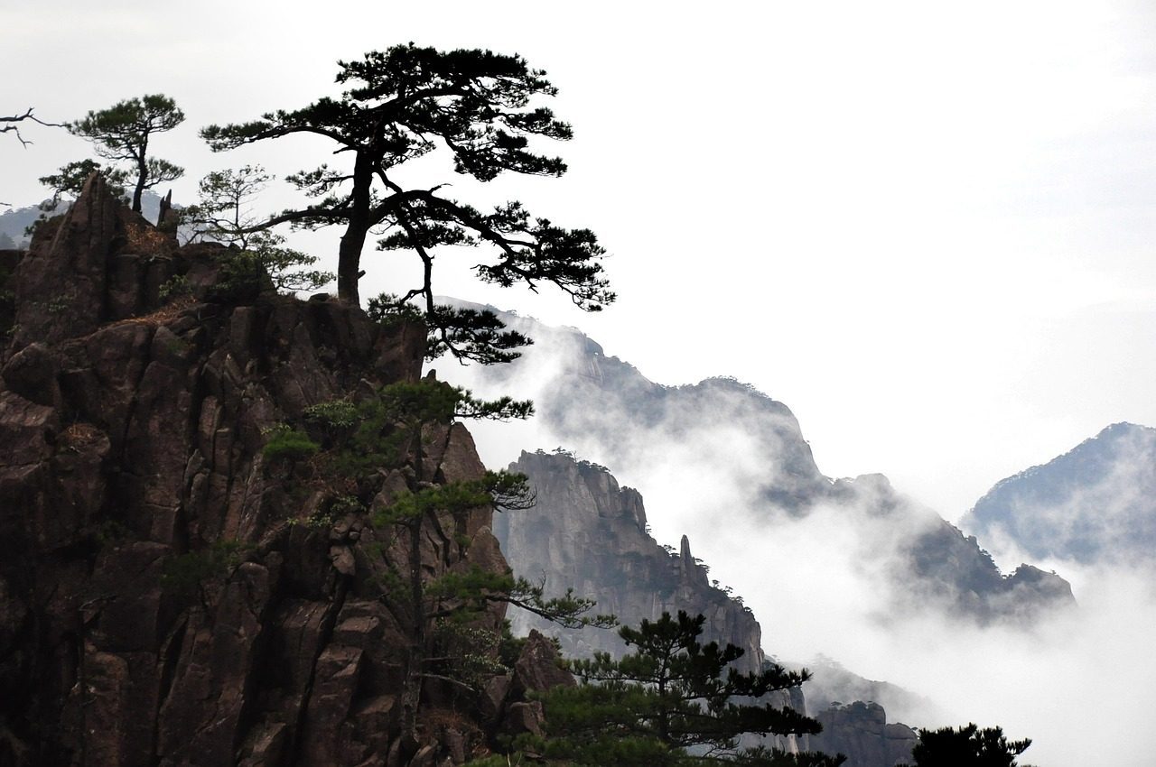 nature  mountain  landscape  rock  travel  huangshan  china  sea of clouds  cloud sea  ink  spring outing  artistic conception  clouds  black and white  natural