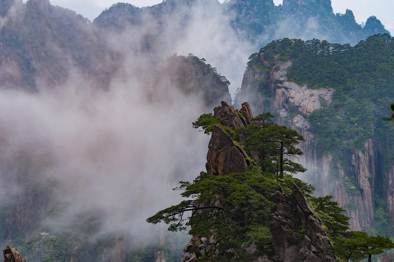 huangshan  mist  nature  peak  tree  stone