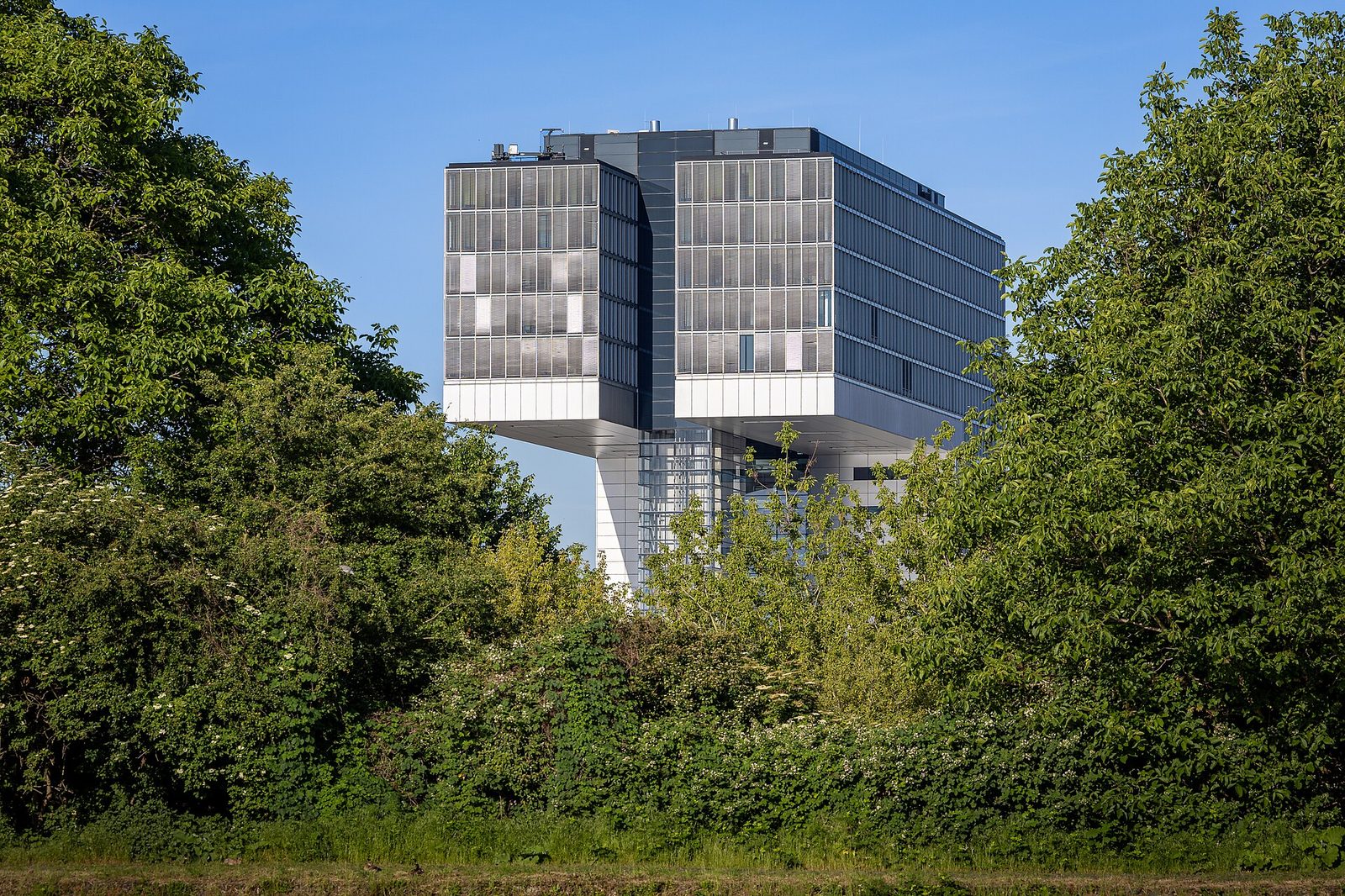 Kranhaus 2, seen from Deutz Harbour through the protected landscape area “Rhine, Rhine meadows and riverbanks from Flittard to Rodenkirchen”