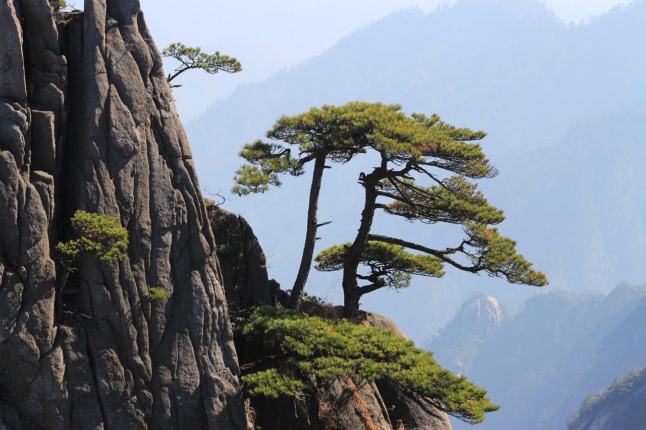 china  huangshan  mountain  landscape  nature  rock  blue landscape  blue mountain  blue rock