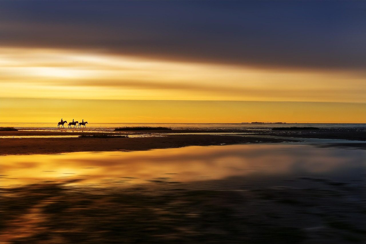 beach  horse riding  sunset  coast  silhouette  sea  ocean  reflection  water  shore  nature  riders  equestrian  vacation  summer  dusk  dark  scenic  north se