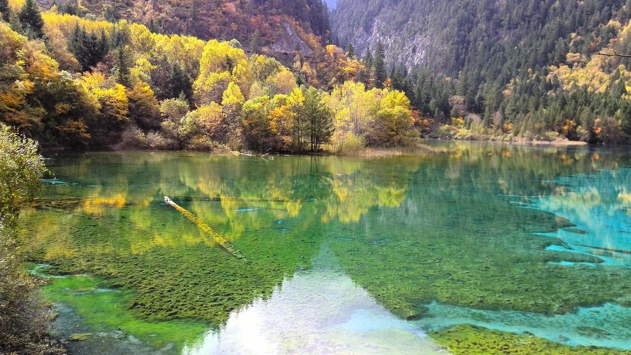jiuzhaigou  nature  before the earthquake  the scenery  autumn  forest  lake water  crystal clear