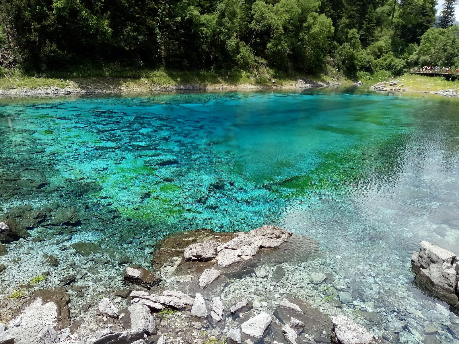 Five color pond in Jiuzhaigou Valley Scenic and Historic Interest Area