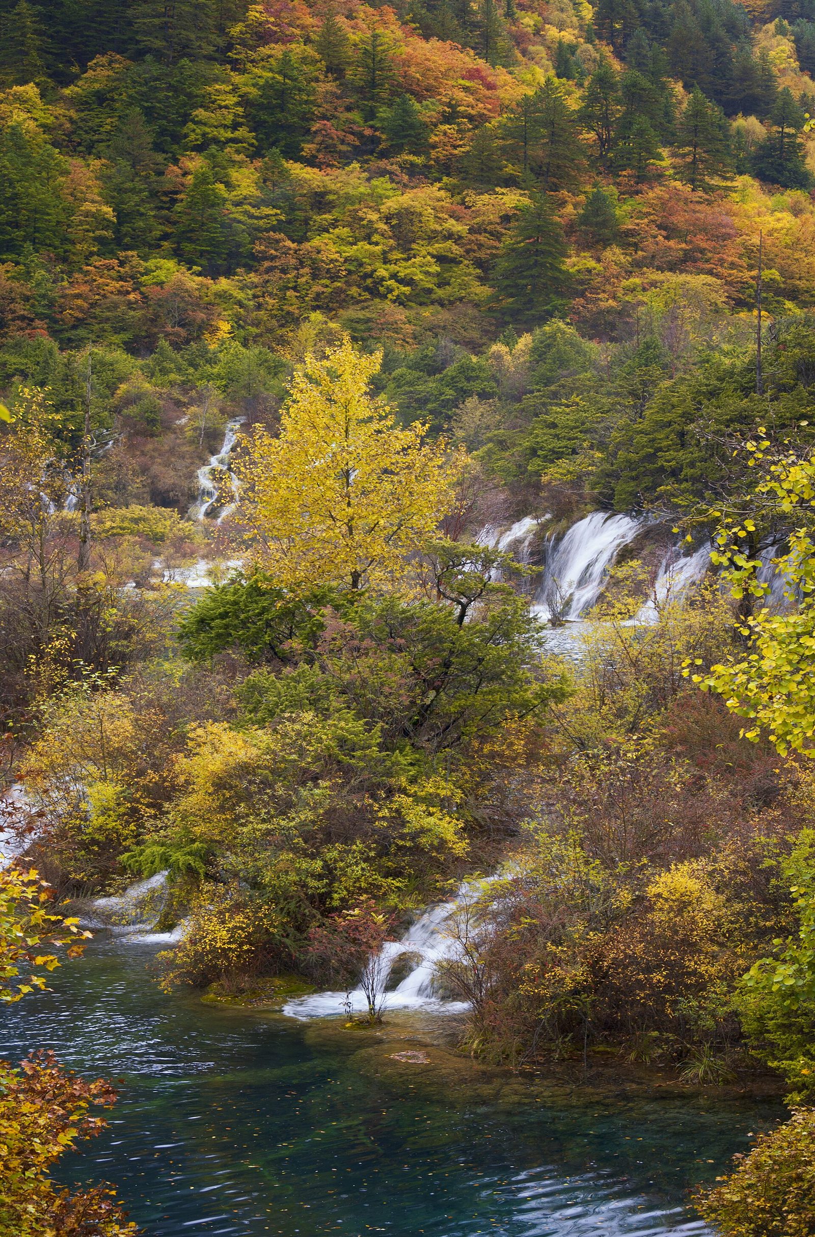 jiuzhaigou valley national park sichuan china fall autumn 2011 sleeping dragon lake 卧龙海, Wòlóng Hǎi waterfall rapids shuzheng valley 树正沟