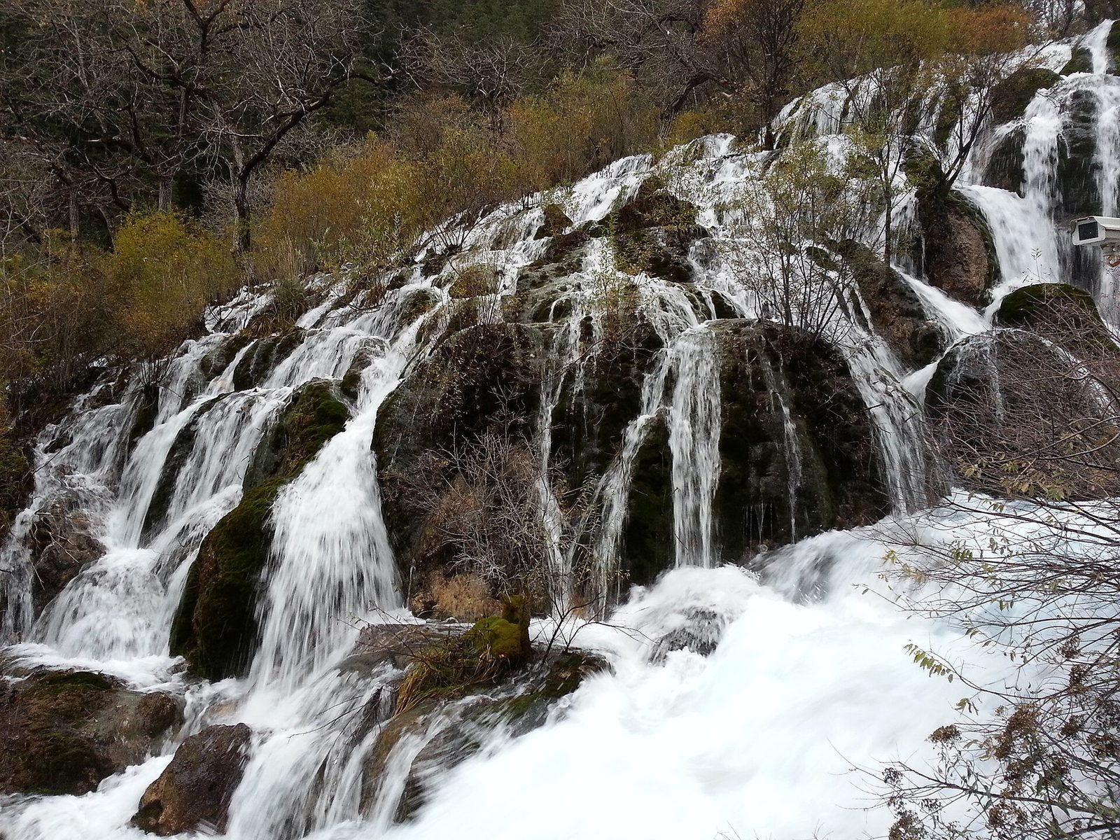 树正瀑布 九寨沟 Shuzheng waterfalls in Jiuzhaigou National Park