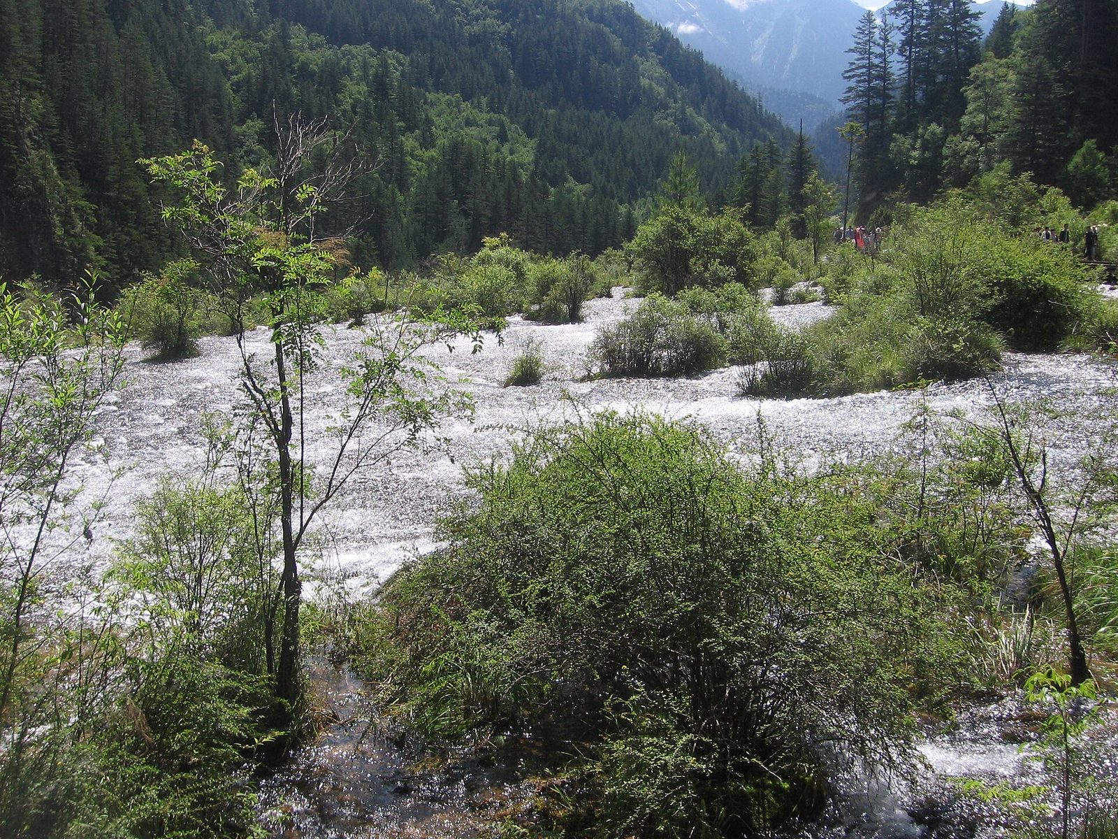 Jiuzhaigou National Natural Reserve (Q30023310) in 2012.