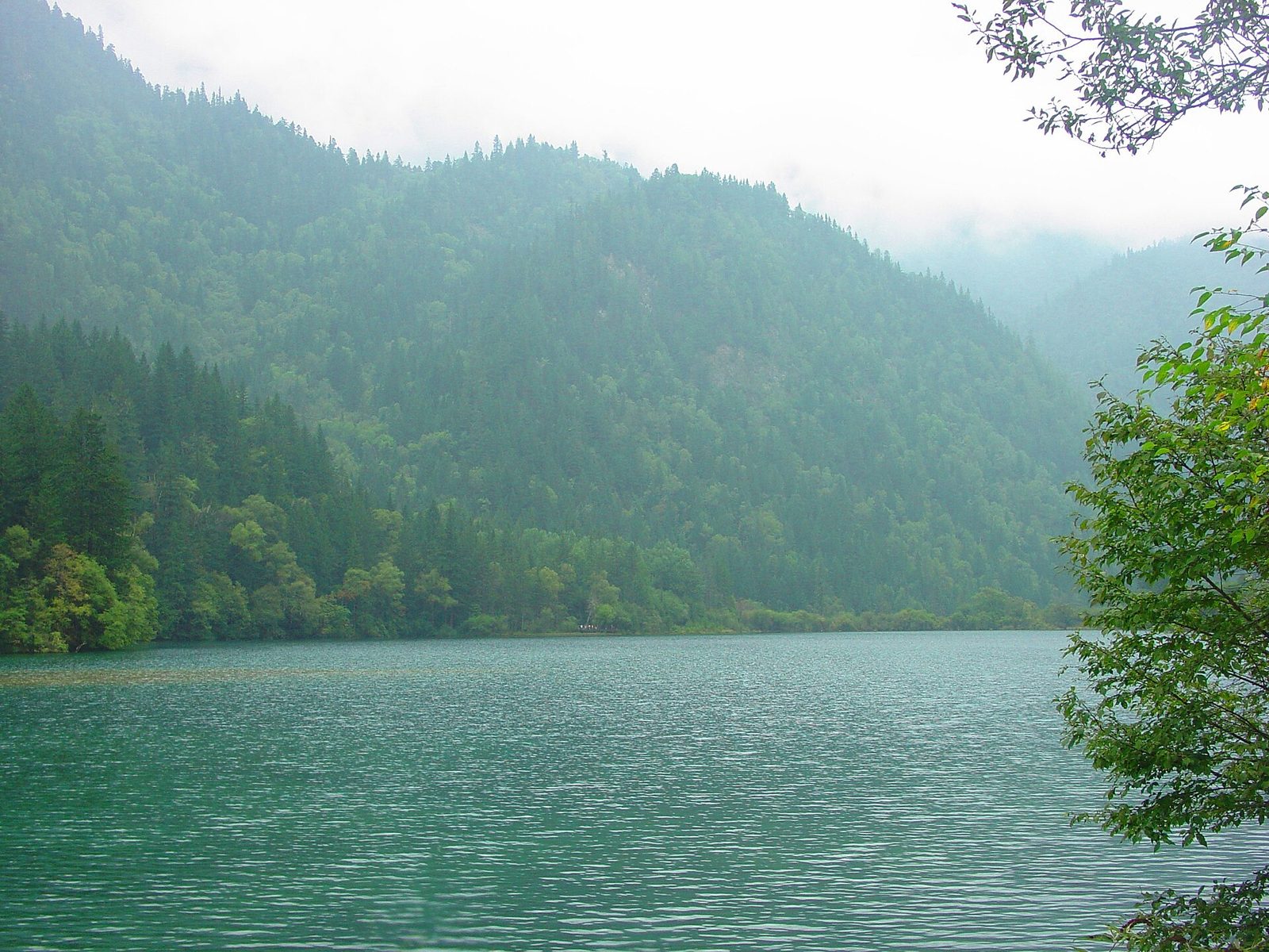 Arrow Bamboo Lake. A view of the lake looking down the Rize valley., Jiuzhaigou.