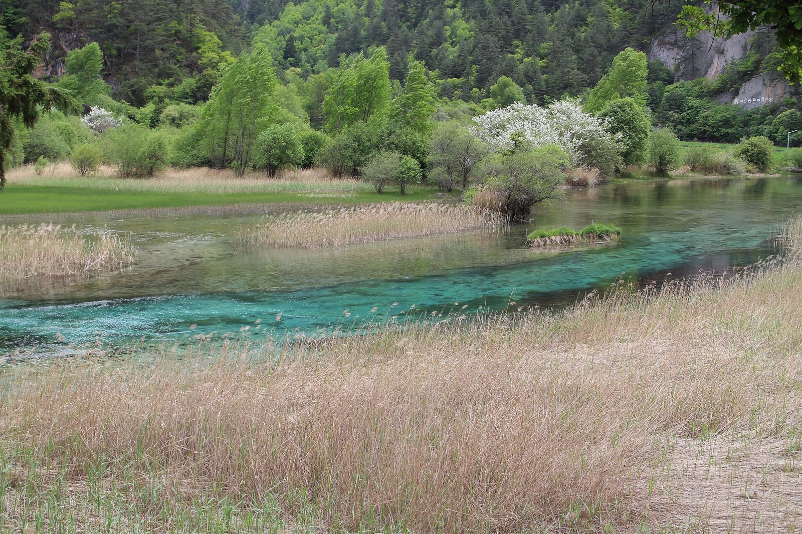 Reed Lake (Jiuzhaigou Valley)