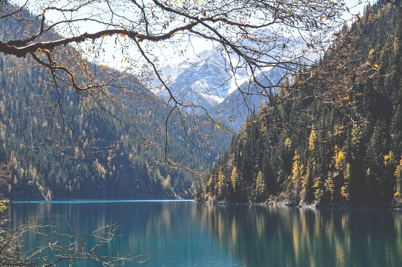 lake water mountains hills trees nature landscape five flower lake jiuzhaigou sichuan sichuan sichuan sichuan sichuan sichuan