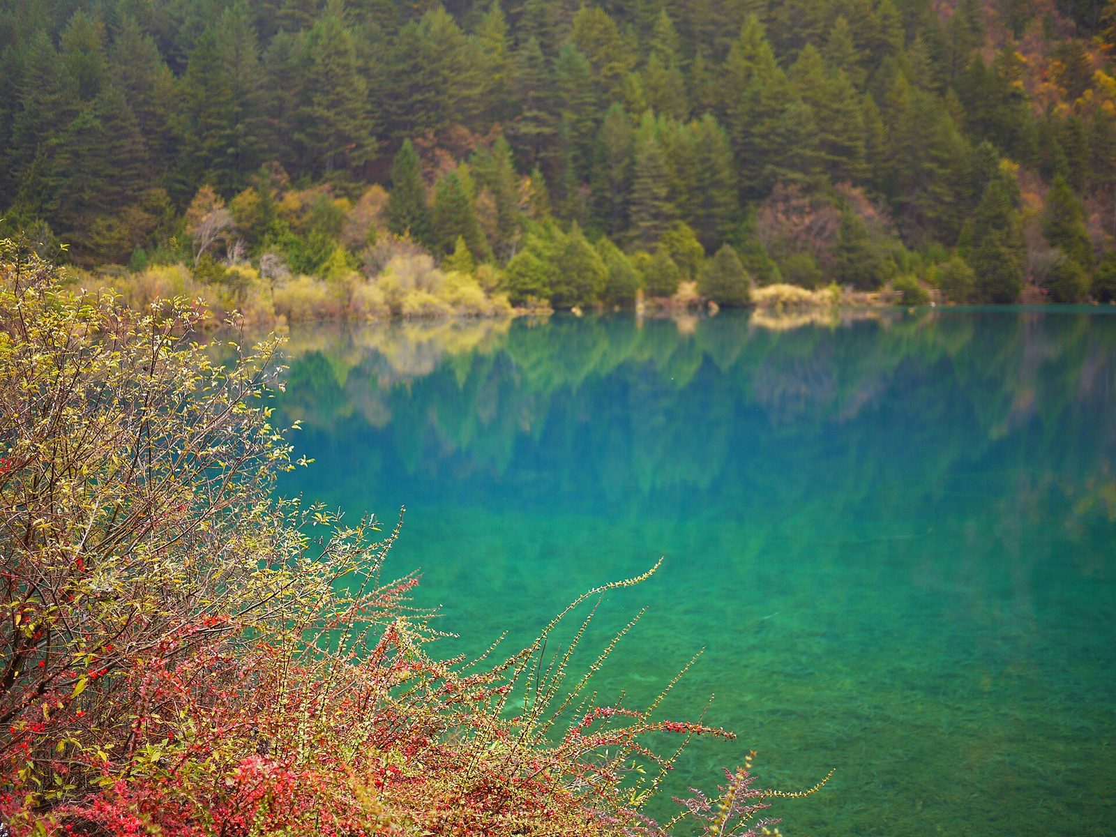 Jiuzhaigou Rhinoceros Lake