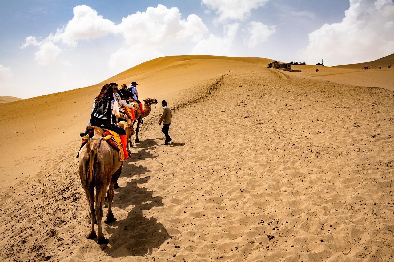 desert camels ride cameleers camel ride riding sand sand dunes tourists dunhuang tourism people landscape nature camel ride camel ride camel rid