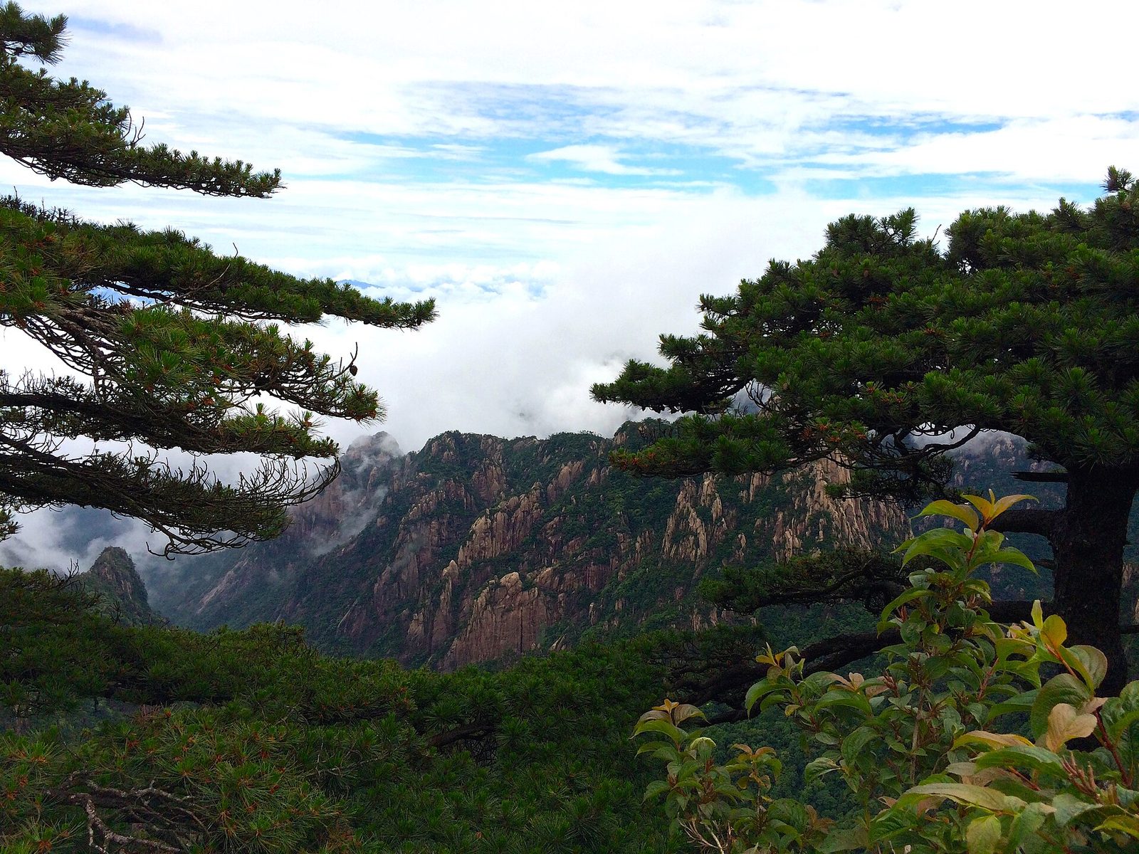 View from Shixin Peak, Huangshan